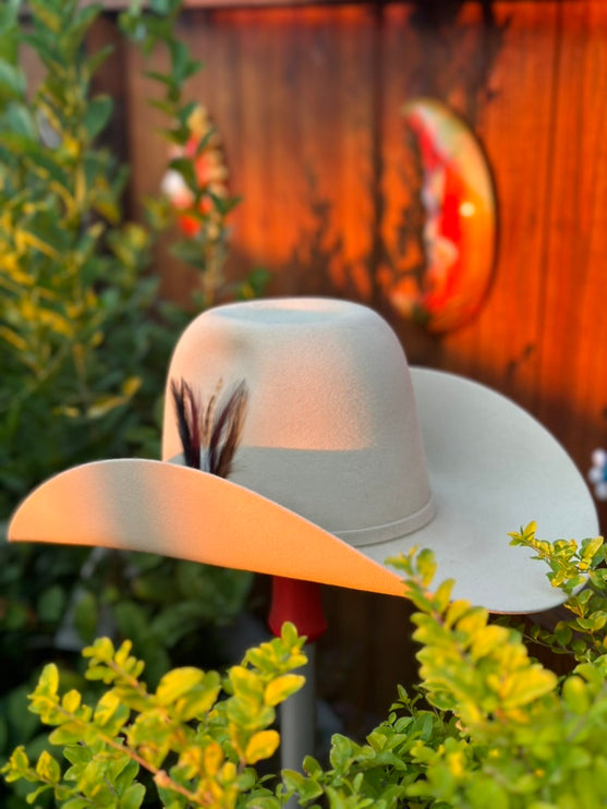 100x Bone HomeTown Cowboy Felt Hat