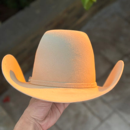 100x Bone HomeTown Cowboy Felt Hat