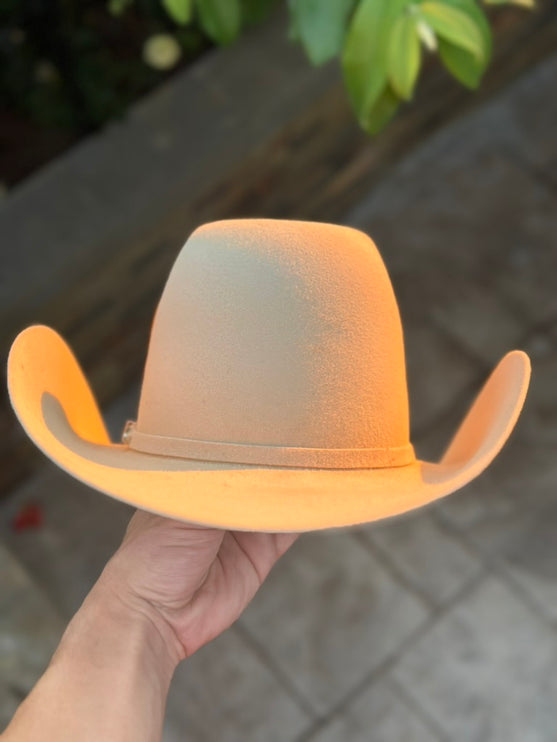 100x Bone HomeTown Cowboy Felt Hat