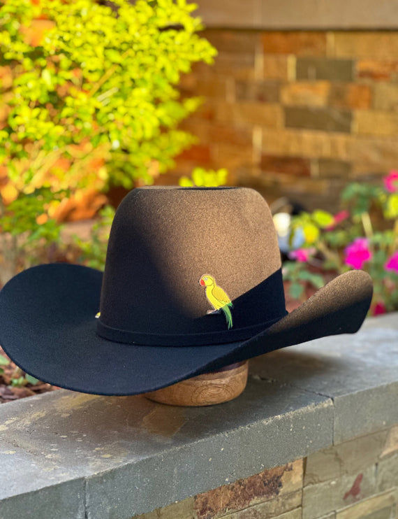 100x Black HomeTown Cowboy Felt Hat