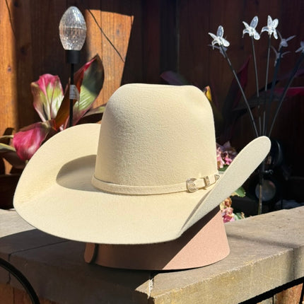 100x Bone HomeTown Cowboy Felt Hat